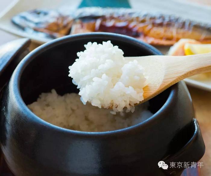 日本米饭这么好吃，问题不仅仅出在电饭锅上...