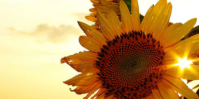 1.16原油急剧拉升谨慎追多下跌趋势仍在继续,