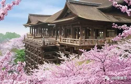 2017日本樱花盛开时间速报！这张机票比春运还难搞！再不订就等明年吧…