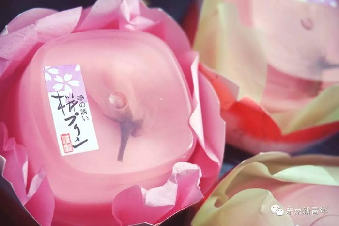 2017日本樱花盛开时间速报！这张机票比春运还难搞！再不订就等明年吧…