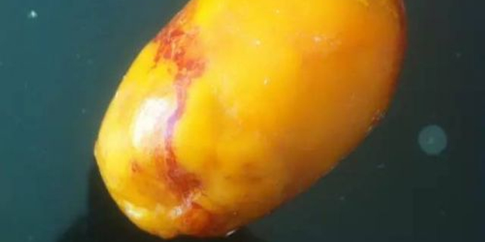 济宁市民杀鸡偶获价值百万鸡宝?记者揭秘收购