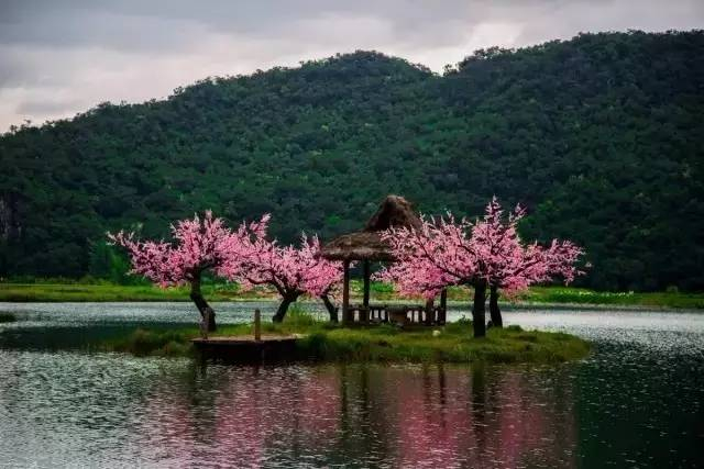 美景|《三生三世十里桃花》的外景拍摄地！美得不敢眨眼睛！