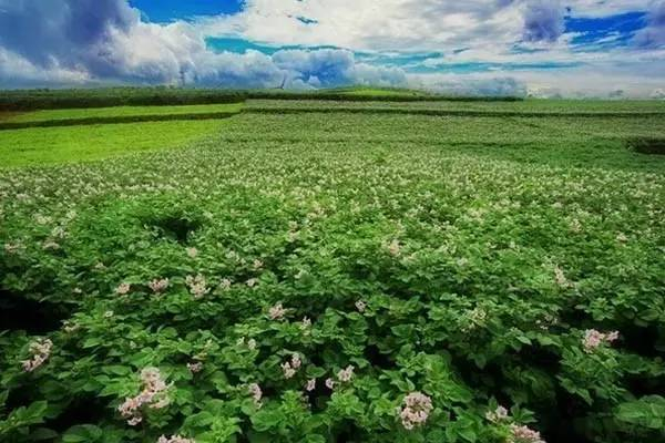 美景|《三生三世十里桃花》的外景拍摄地！美得不敢眨眼睛！