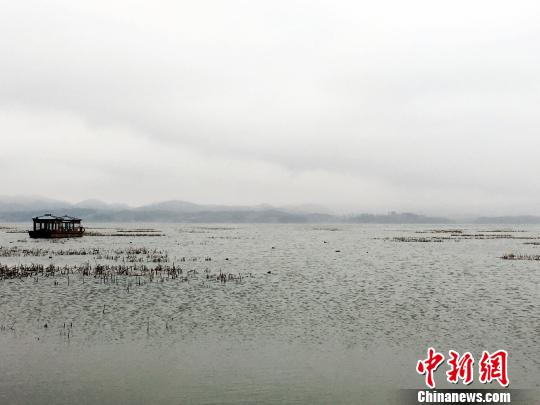 贵州威宁草海景象。 杨云 摄