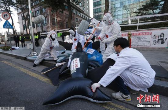 当地时间2015年12月7日,环境保护团体成员聚集在日本驻韩国大使馆前,抗议日本在南极地区捕鲸。