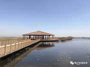 申万雄安调研看到了什么：地方企业几无机会参与建设