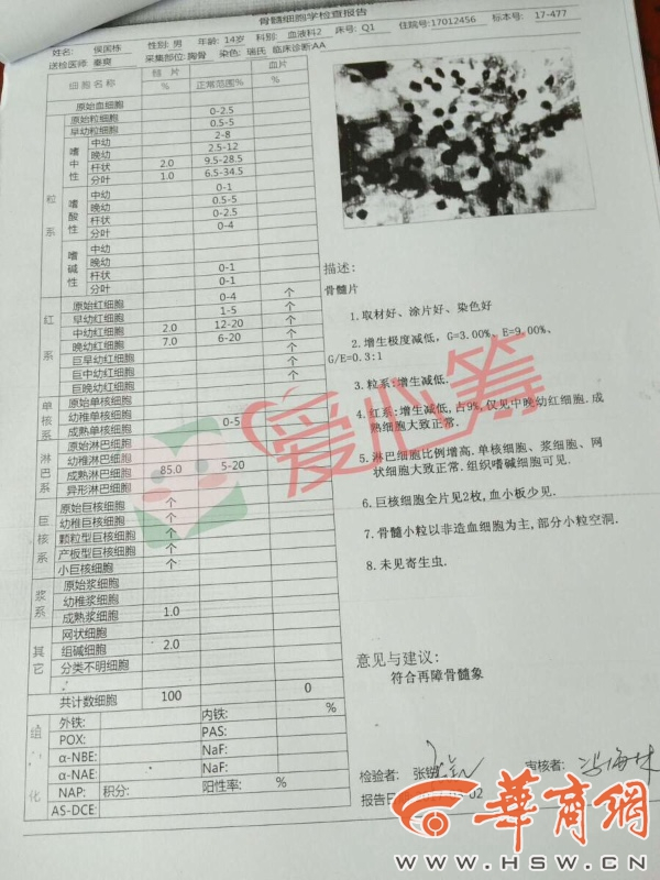 p1ebqyqp.jpg
