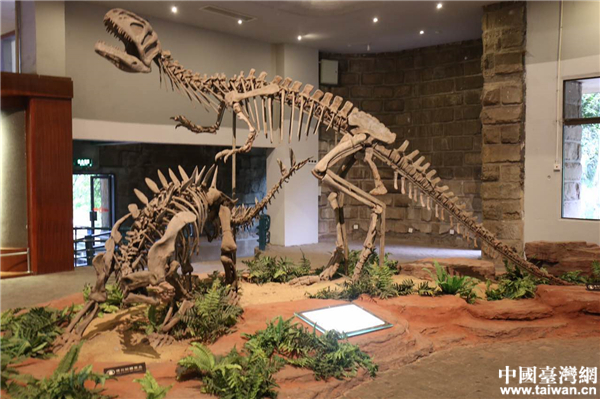 自贡恐龙博物馆。
