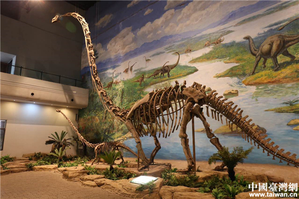 自贡恐龙博物馆。