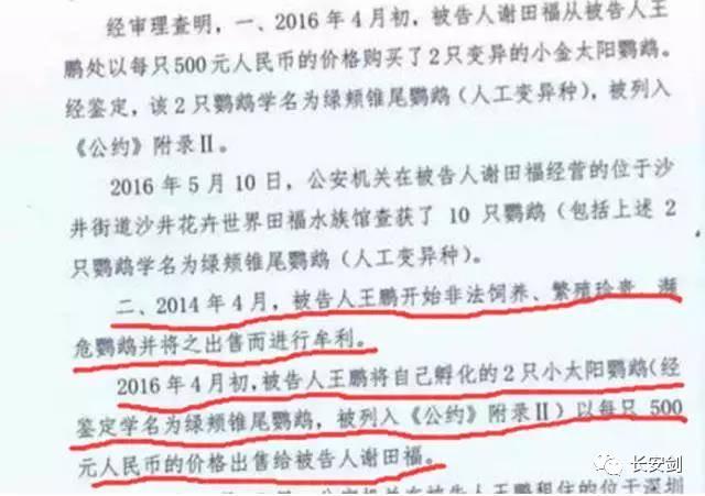 (图:该案一审判决书截图)