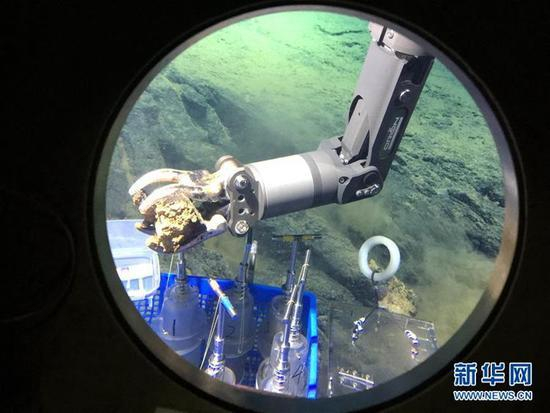 蛟龙号深潜马里亚纳海沟,拍到30公分长紫色海参