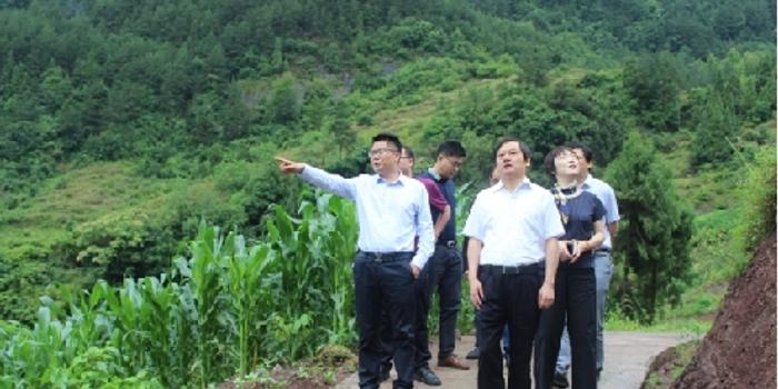 丰都县委书记徐世国莅临龙河镇调研指导工作
