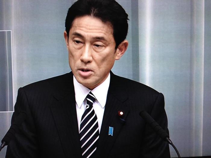 资料图:日本外相