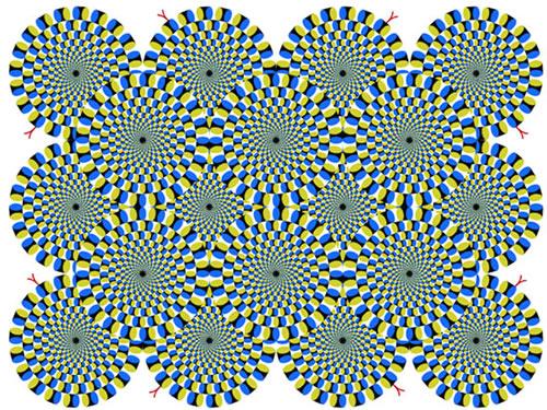 “骗瞎眼”的视觉错觉：它没在动，可是它在动！