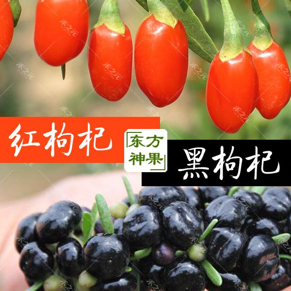办公室白领注意，最容易引起这种危害，这些护眼神器帮到你