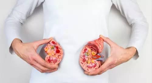 图片来源:123RF.com.cn图库