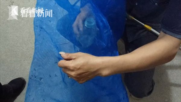 虫头清点和收购萤火虫