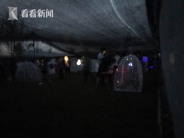 如火如荼的萤火虫商业展出