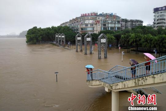 图为桂林市解放桥滨江路一片汪洋。 赵琳露 摄