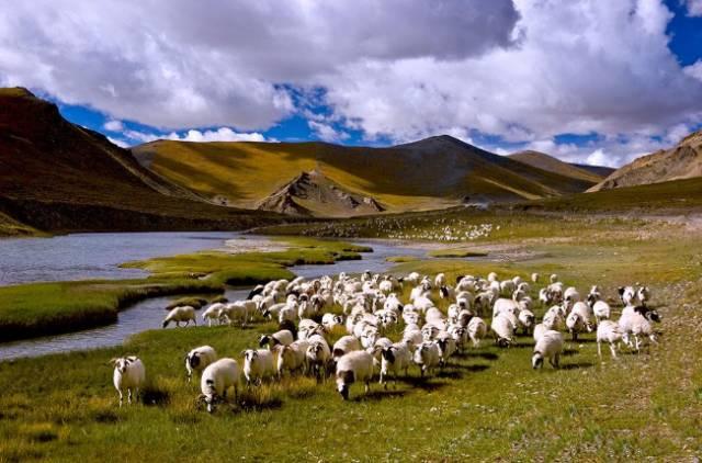 为什么那么多人想去西藏，并且有人去了还想再去？