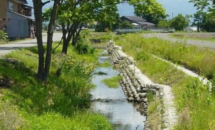 日本人的真实农村生活是怎样的？ |日本社会