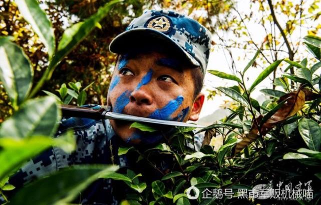 有些摆拍实在是毫无逻辑可言。潜伏深山老林里嘴衔匕首都不说了,为了营造点画面感用违和的蓝色迷彩实在是
