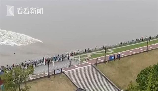 d602b016b2a21a46a7d19297f326c69c.jpg