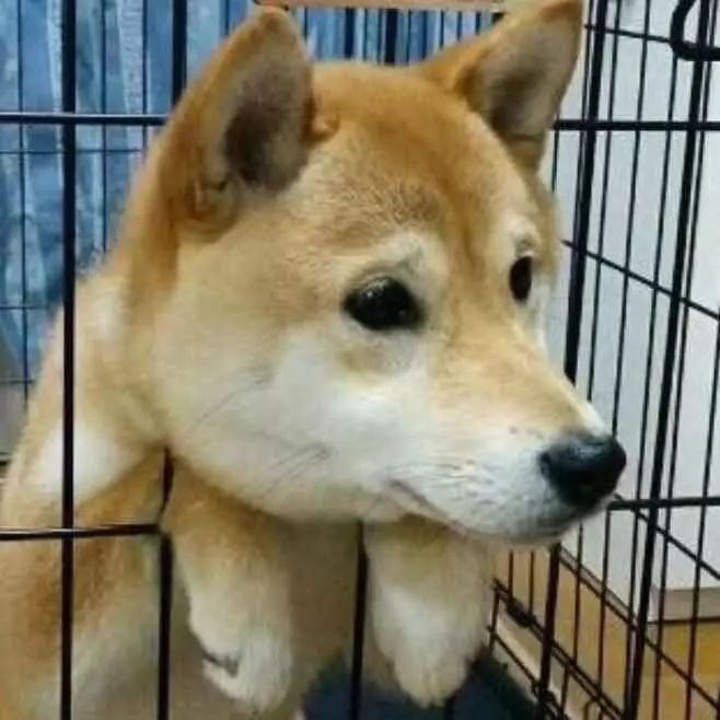 微信图片_20170909105826.jpg