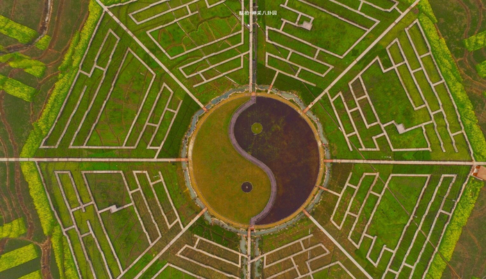 神采八卦园.jpg