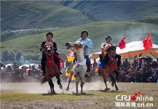 稻城登秋节马术竞技 摄影 刘斌