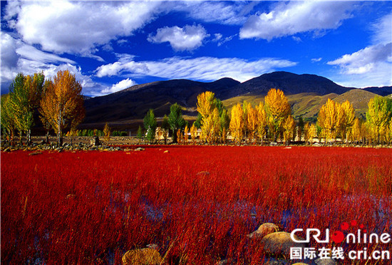 【通稿 景区节会图 焦点图】“相约圣洁甘孜·畅游自驾天堂”2017四川甘孜山地旅游节在稻城亚丁盛大开幕