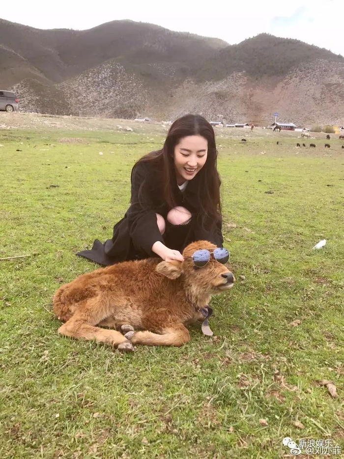 唐嫣和刘亦菲说你们这样拍照太土了!!