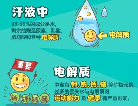 “运动补水”除了补水,还要补“电” 农夫山泉助力昆明马拉松