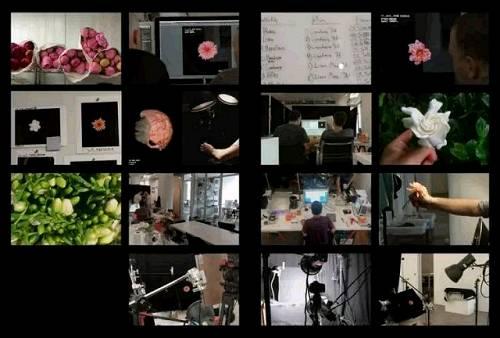 Apple Watch Face壁纸个动画制作过程。图源:Wired