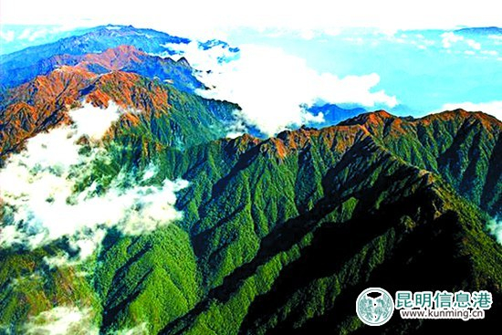 保山市将推进全域旅游建设 把高黎贡山打造成东方的黄石公园