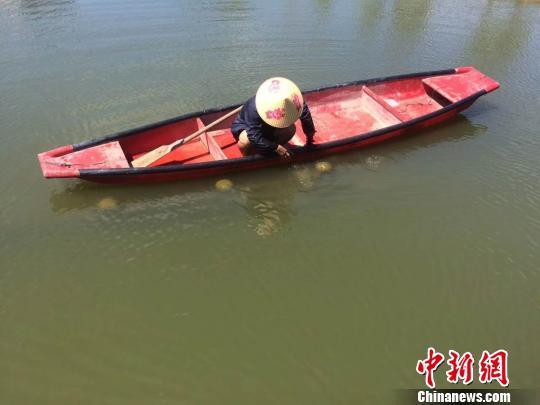 养珠人 兰成龙 摄