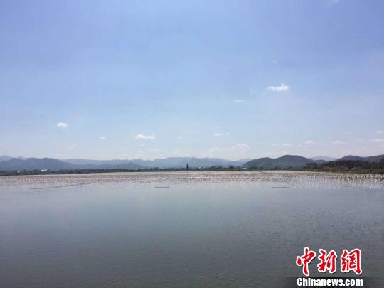 “清水养殖”的水域 兰成龙 摄
