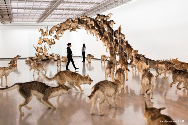 纪录片《天梯:蔡国强的艺术》影评会在京举行