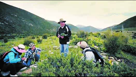追忆复旦大学研究生院院长、著名植物学家钟扬教授