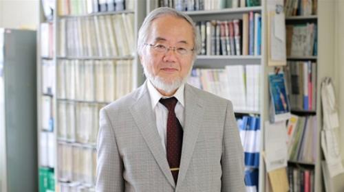 资料图:2016年诺贝尔生理学或医学奖获奖者大隅良典。