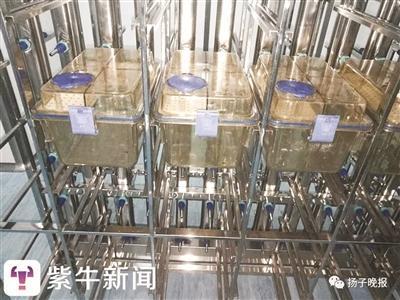 中国药科大学GLP实验室和内部的“裸鼠公寓”。 校方提供