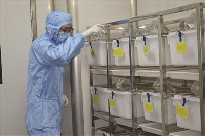 中国药科大学GLP实验室和内部的“裸鼠公寓”。 校方提供