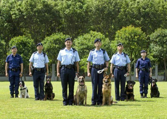 香港警察招募那点事：顶级月薪可达27万港元