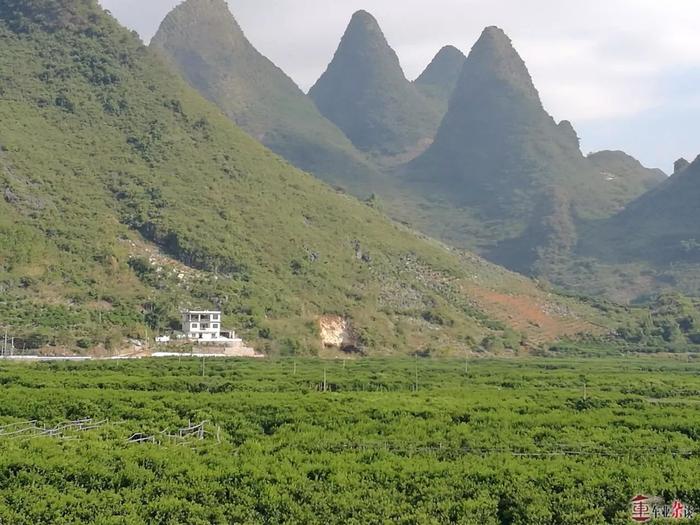 好山好水好车，开着SWM斯威X7自动挡在桂林旅行｜车业杂谈