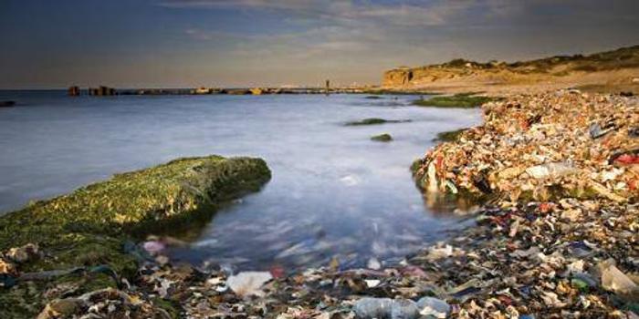 海洋塑料垃圾污染有多严重? 每年2000万吨流