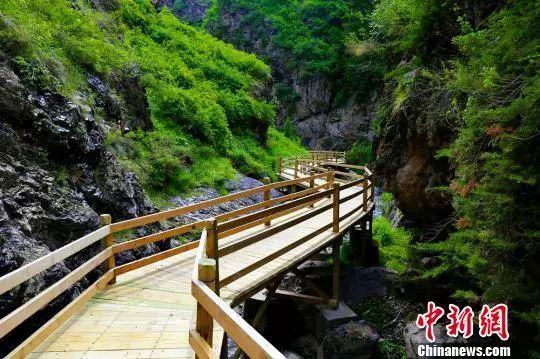 图为夏季的疏勒城峡谷。 史玉江 摄