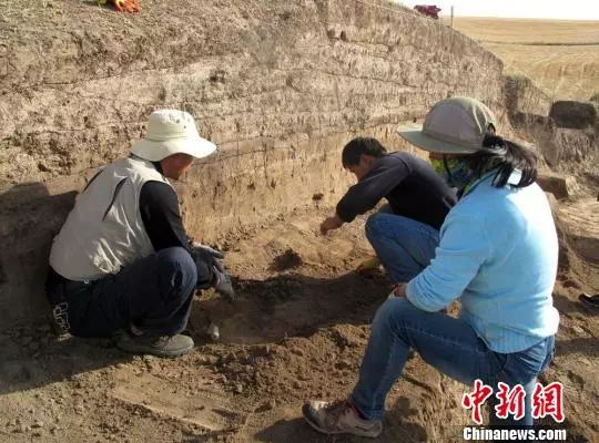 图为2014年,考古人员试掘现场。 奇台县文物局供图