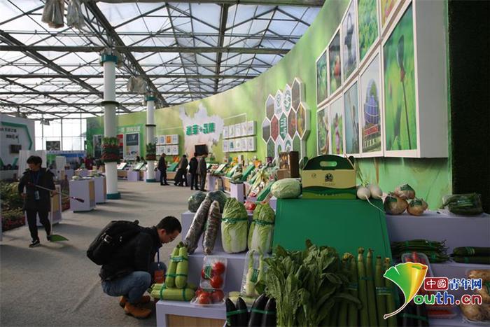 第八届四川蔬菜博览会　绿色盛宴点亮金秋彭州