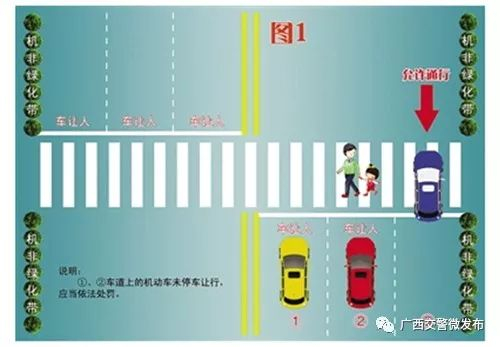 你知道如何礼让斑马线吗 看看这些就懂了
