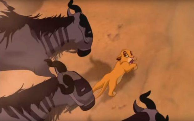 弱肉也能强食：电影《狮子王》场景重现，狮子幼崽险被水牛踩死